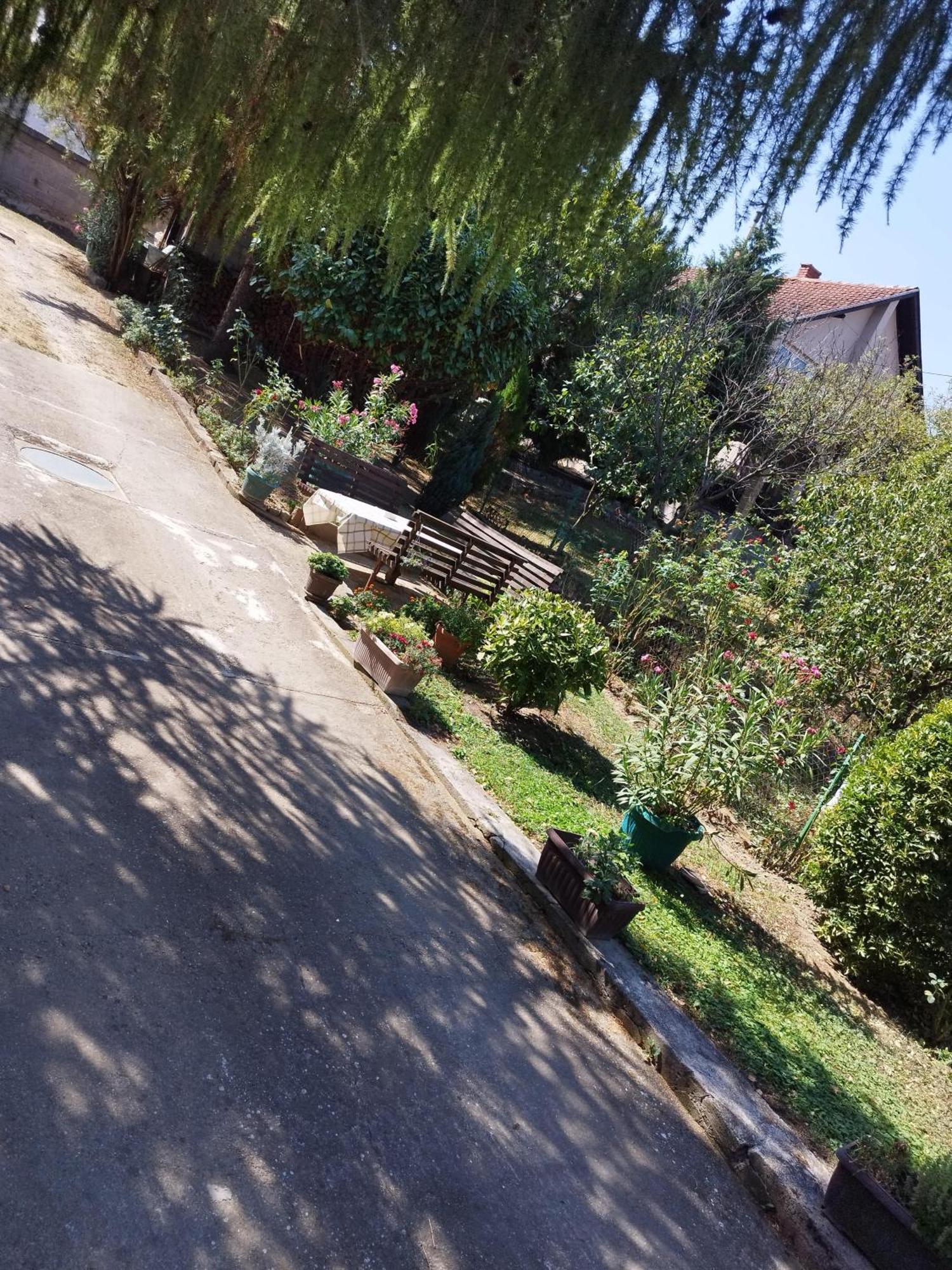 Studio 1 Golubac Exterior photo